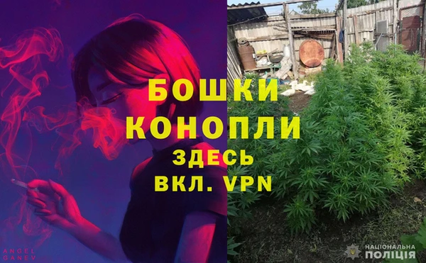 трава Алексеевка